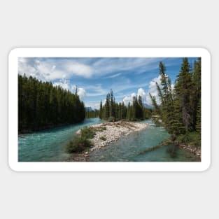 Taking a Bath in the Bow River Sticker